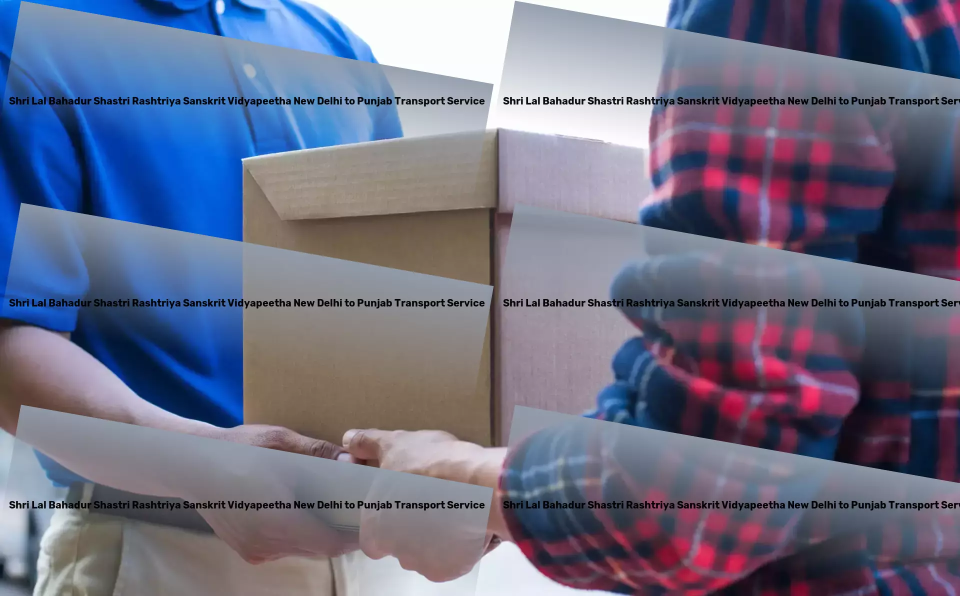 Shri Lal Bahadur Shastri Rashtriya Sanskrit Vidyapeetha New Delhi to Punjab Packers And Movers The ultimate platform for all your shipping requirements! - Multi-state shipping services