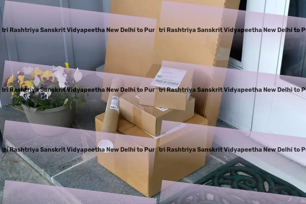 Shri Lal Bahadur Shastri Rashtriya Sanskrit Vidyapeetha New Delhi to Punjab Packers And Movers Multi-city freight coordination